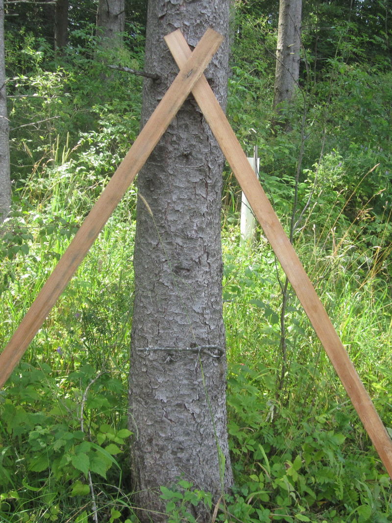 Zaunschere aus Lärchenholz - Forstbaumschulen Stingel